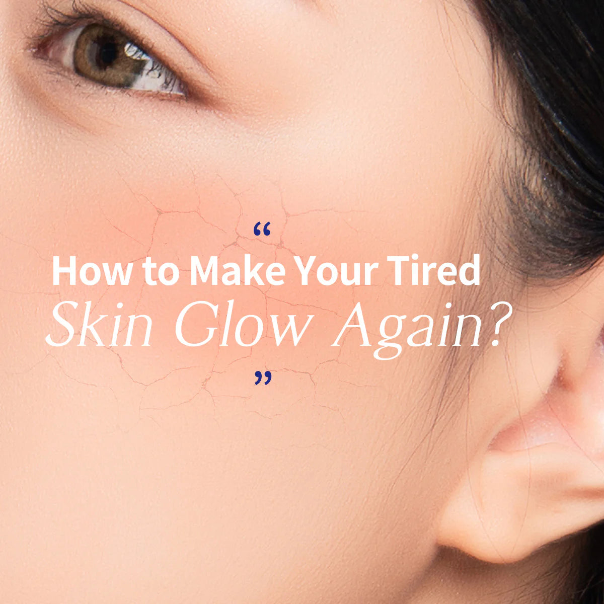 Dermaplus Birch Mask Bundle (10 sheets)