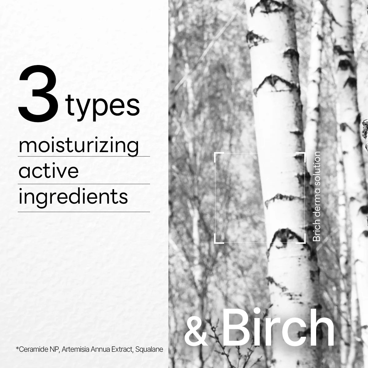 Dermaplus Birch Mask Bundle (10 sheets)